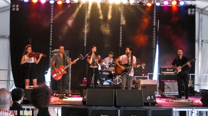 The Chinese Birdwatchers